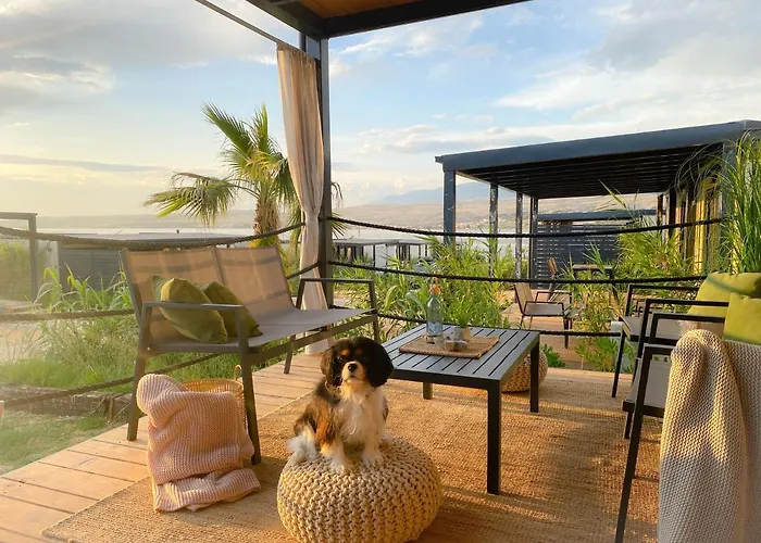 Seaya Mobile - Terra Park Spiritos Kamp Kolan