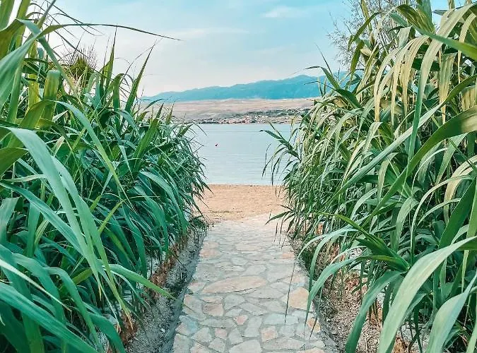 Kamp Seaya Mobile - Terra Park Spiritos *